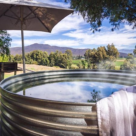 Arendsig Wine Estate & Cottages Bonnievale Buitenkant foto