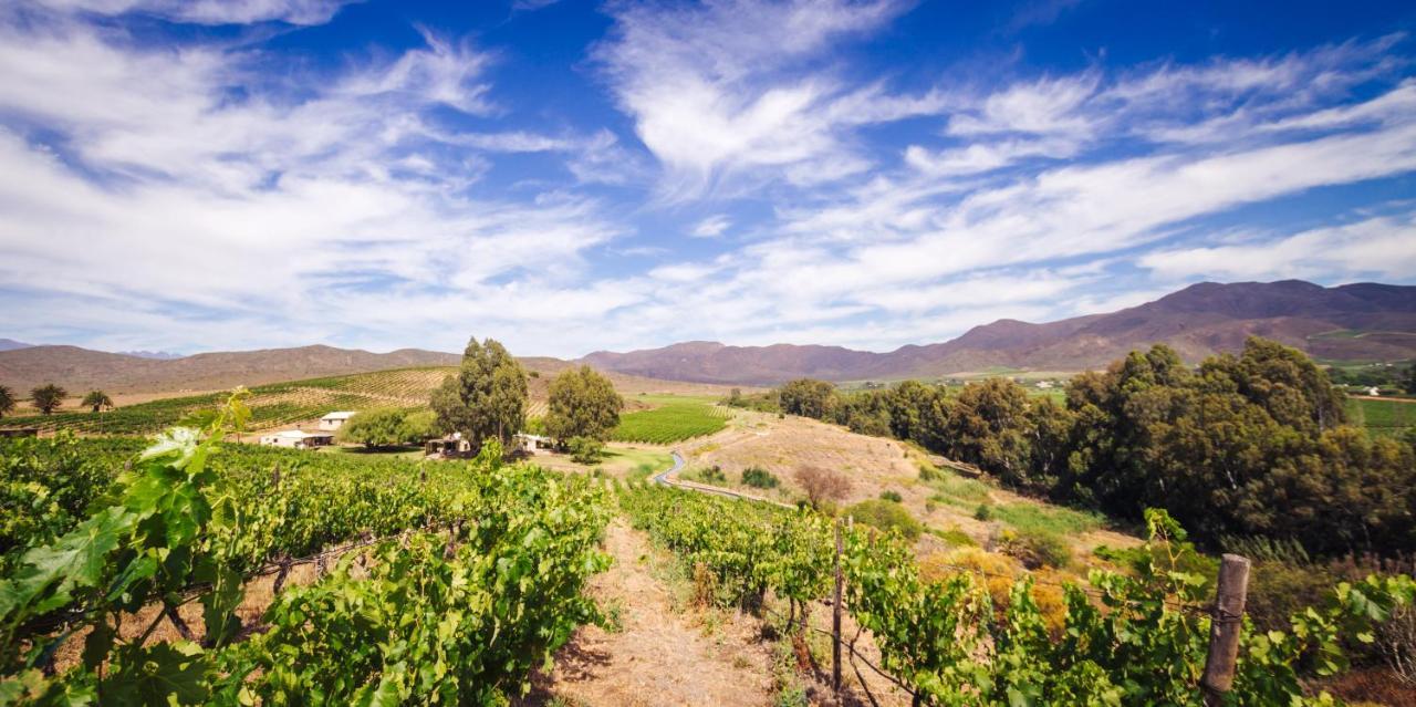 Arendsig Wine Estate & Cottages Bonnievale Buitenkant foto