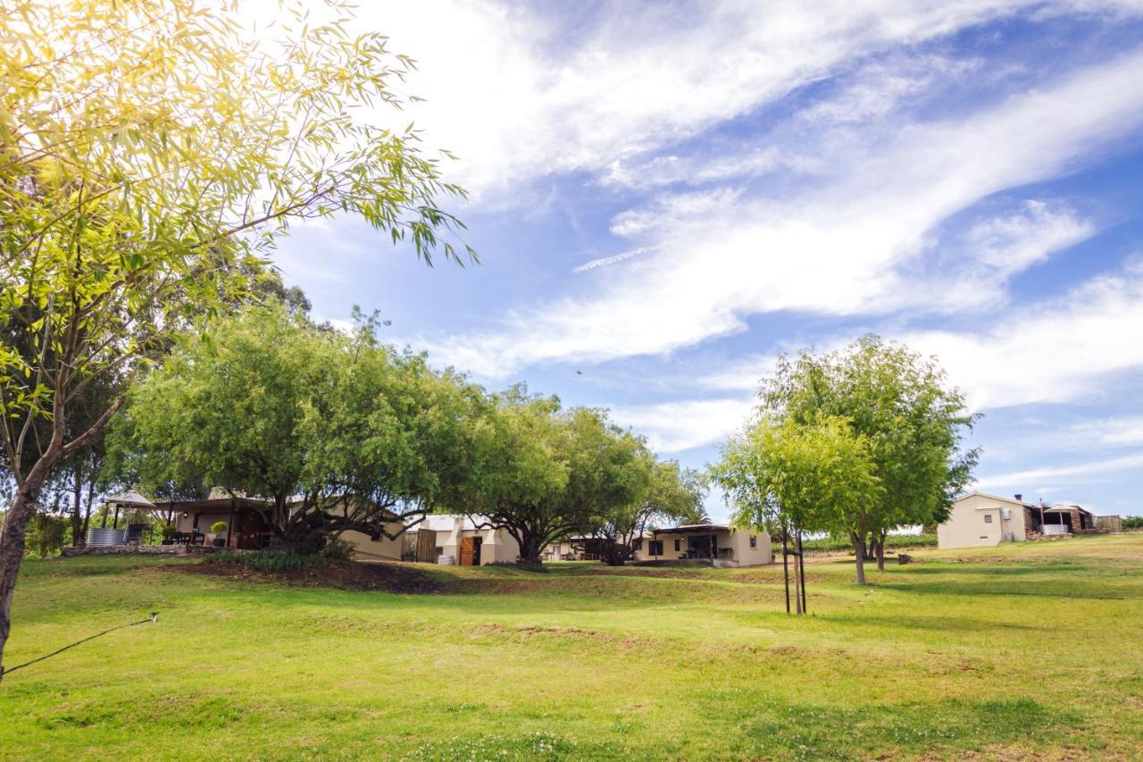 Arendsig Wine Estate & Cottages Bonnievale Buitenkant foto