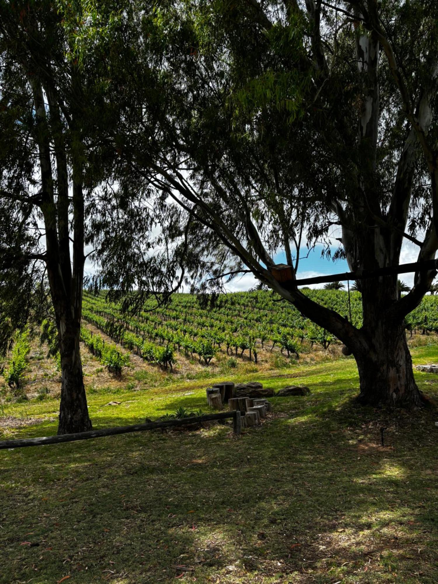 Arendsig Wine Estate & Cottages Bonnievale Buitenkant foto